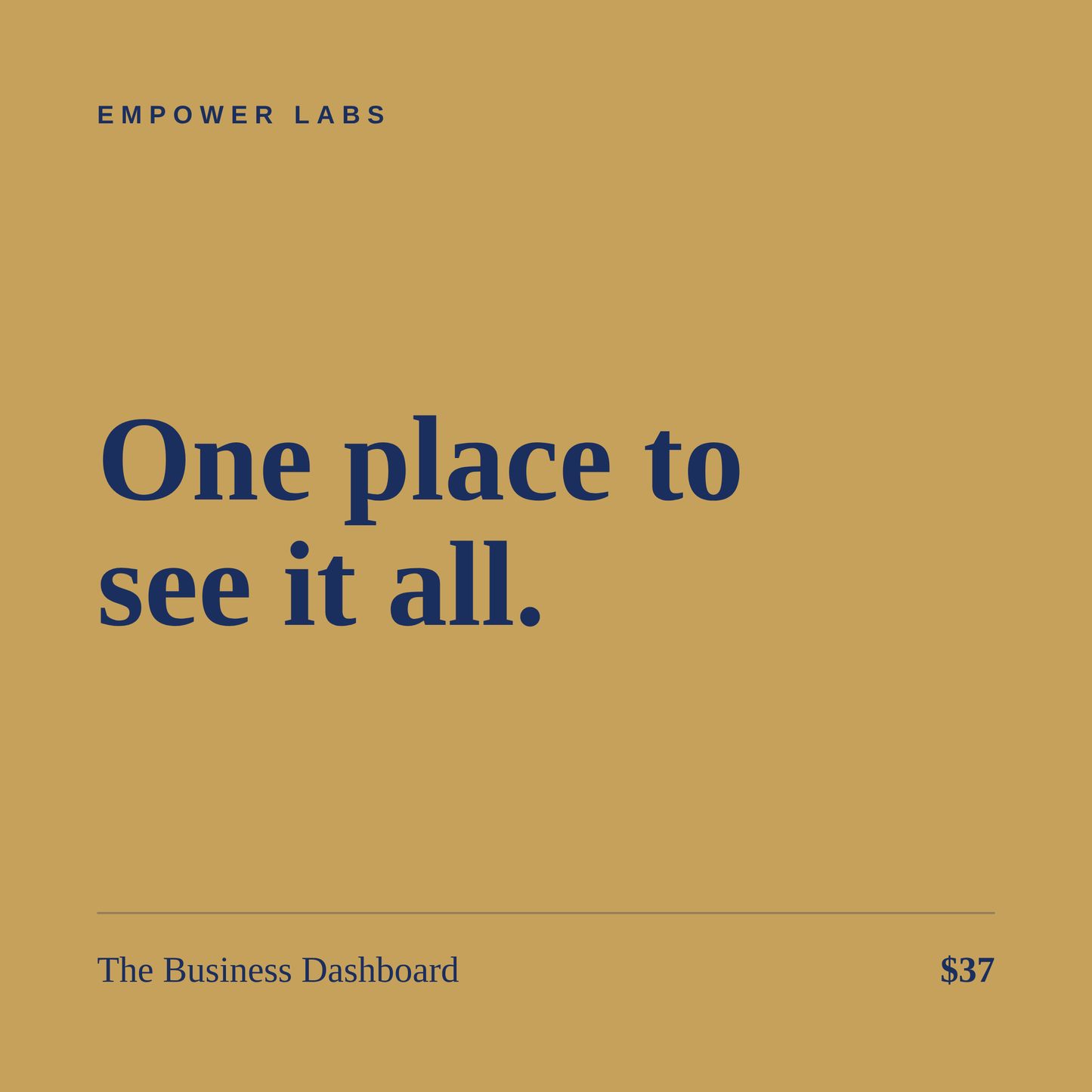 The Business Dashboard Template