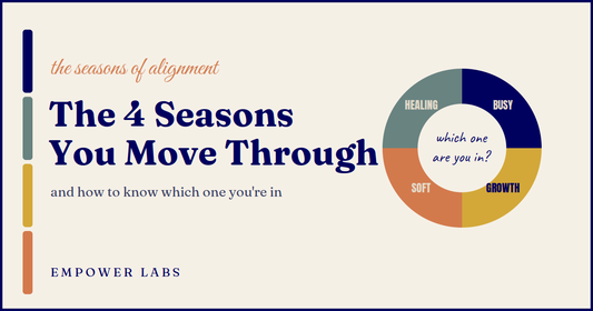 The 4 Seasons You Move Through (and How to Know Which One You're In)