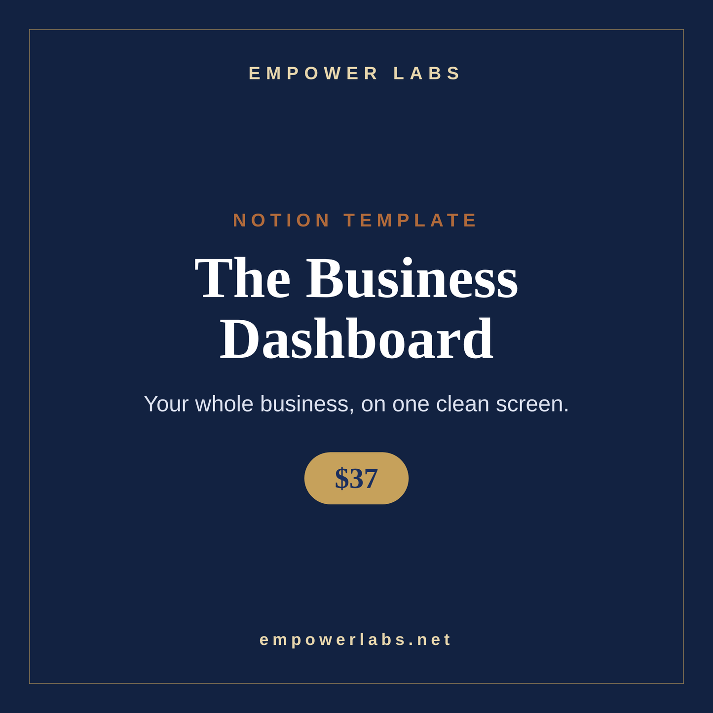 The Business Dashboard Template
